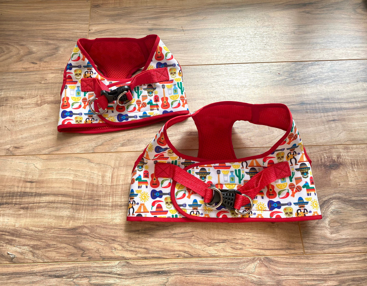 Step in Fiesta harness