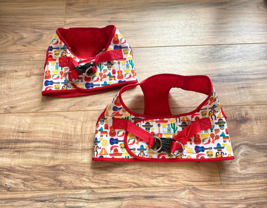 Step in Fiesta harness