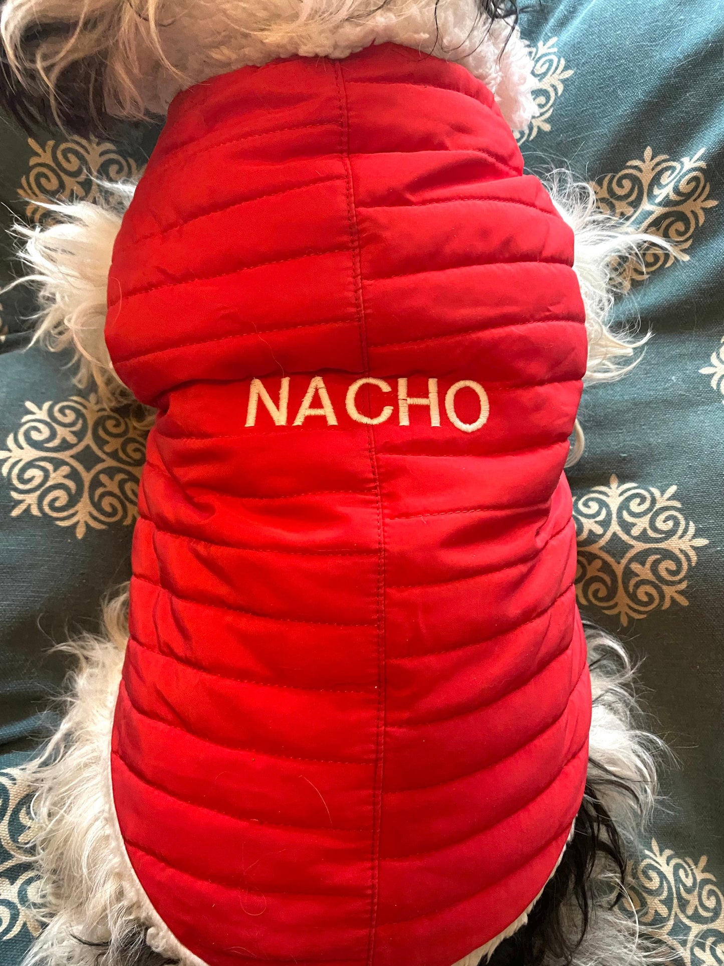 Name Embroidered jacket