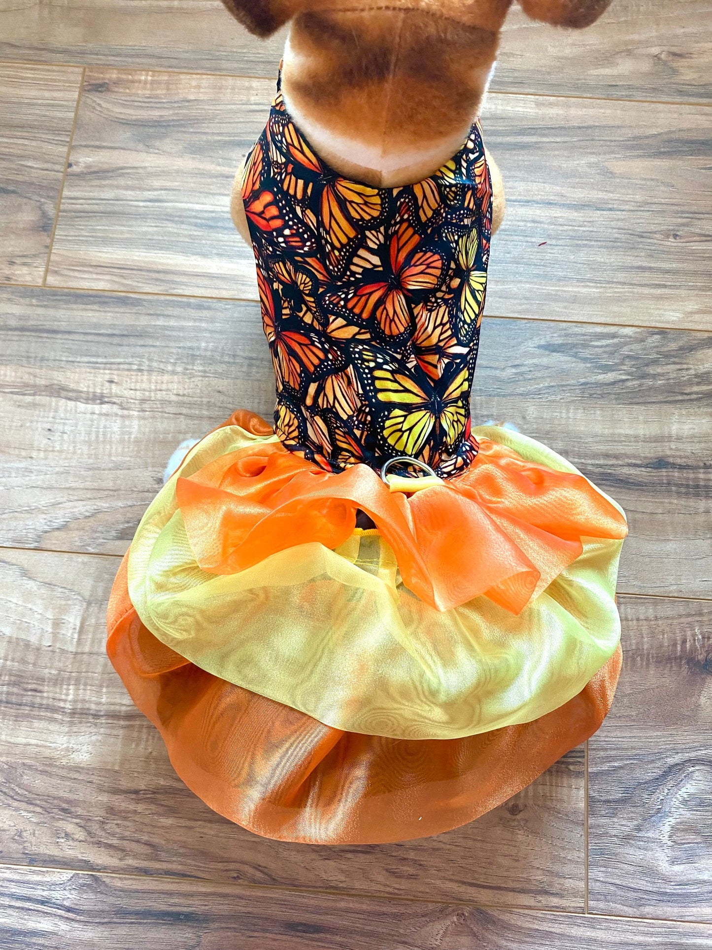 Monarch butterfly  Ruffle Dress