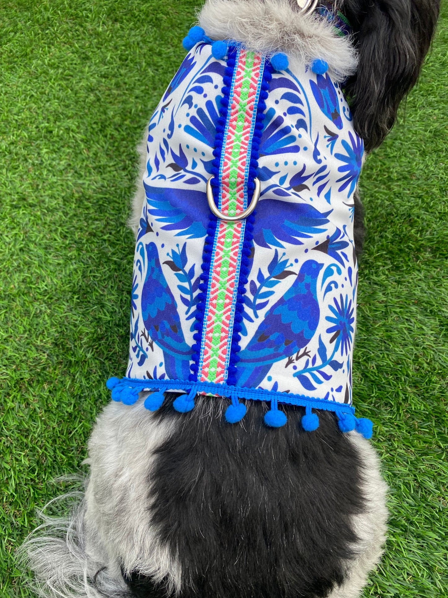 Blue otomi Harness