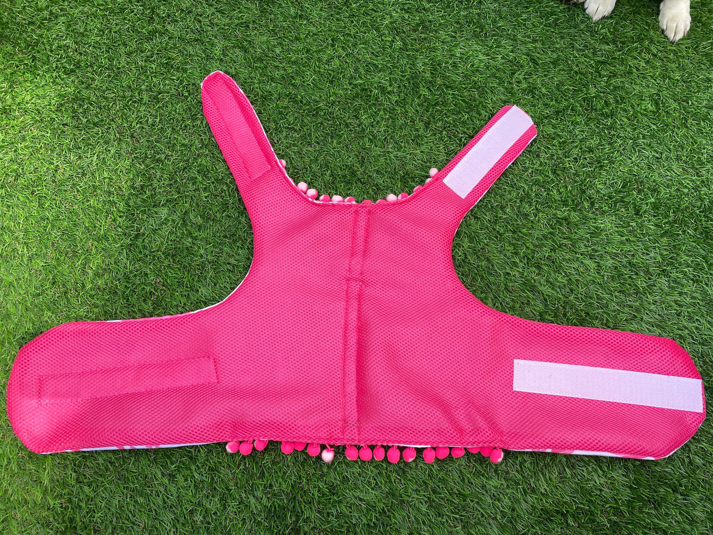 Pink otomi Harness