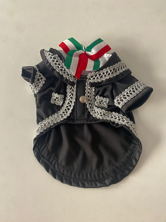 New Mariachi Costume