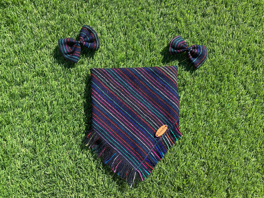 Rainbow striped Bandana